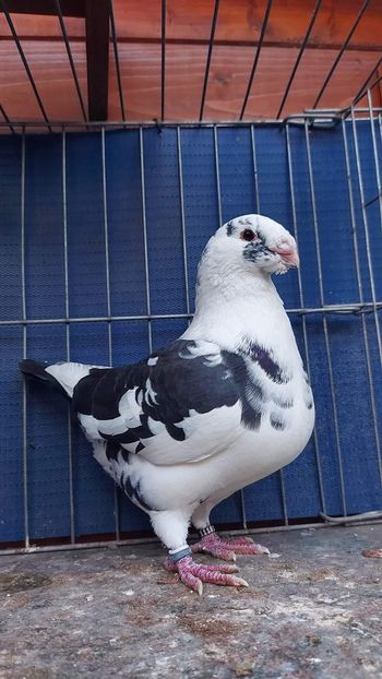 M 2022 - Perechi 2023