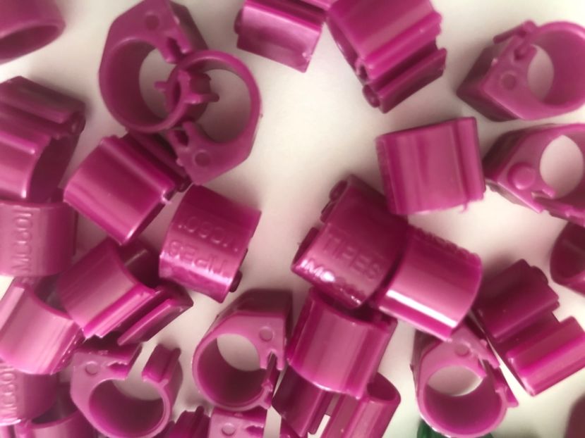 EE145ED3-CBF2-4037-BAC3-CC2D82D80D6E - 0 Noutăți 2023