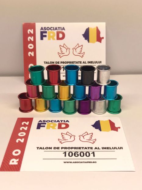 DA0DC7F0-3E9C-468F-B2CE-E6D8FE3B4332 - 0 Noutăți 2023