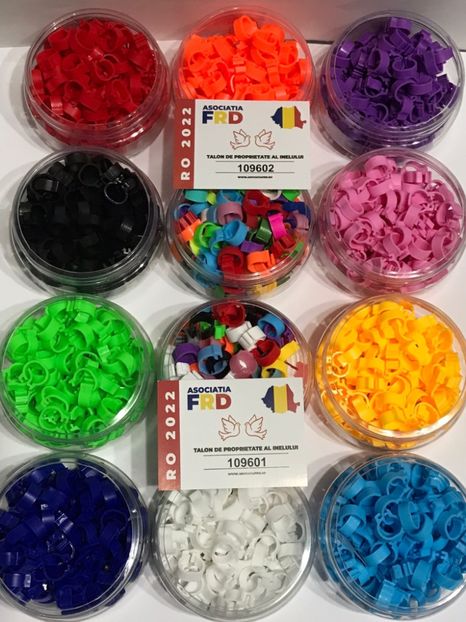 78747586-B645-4A0A-A862-4E70A1610DB8 - 0 Noutăți 2023