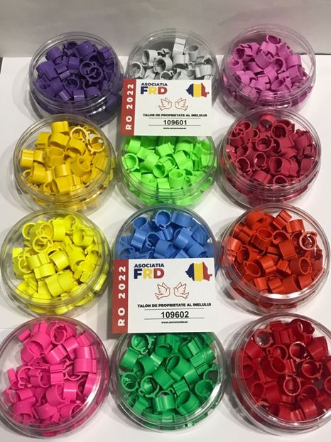 7BC73162-C805-4F82-93DB-2353F4E3D42A - 0 Noutăți 2023