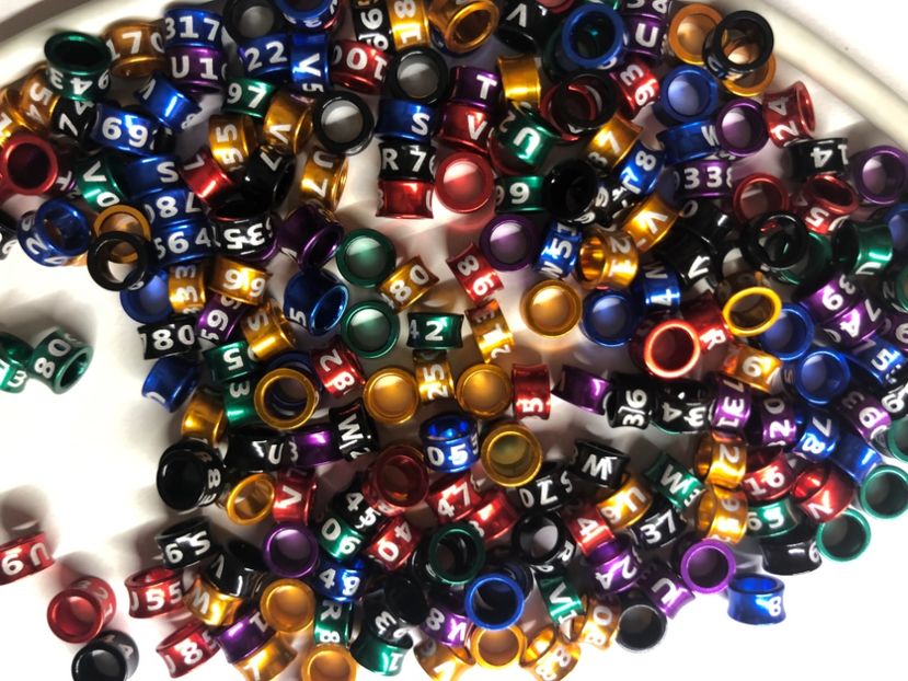 4F042EC8-D2C9-48FF-BB61-6D6DCB3CE523 - 0 Noutăți 2023