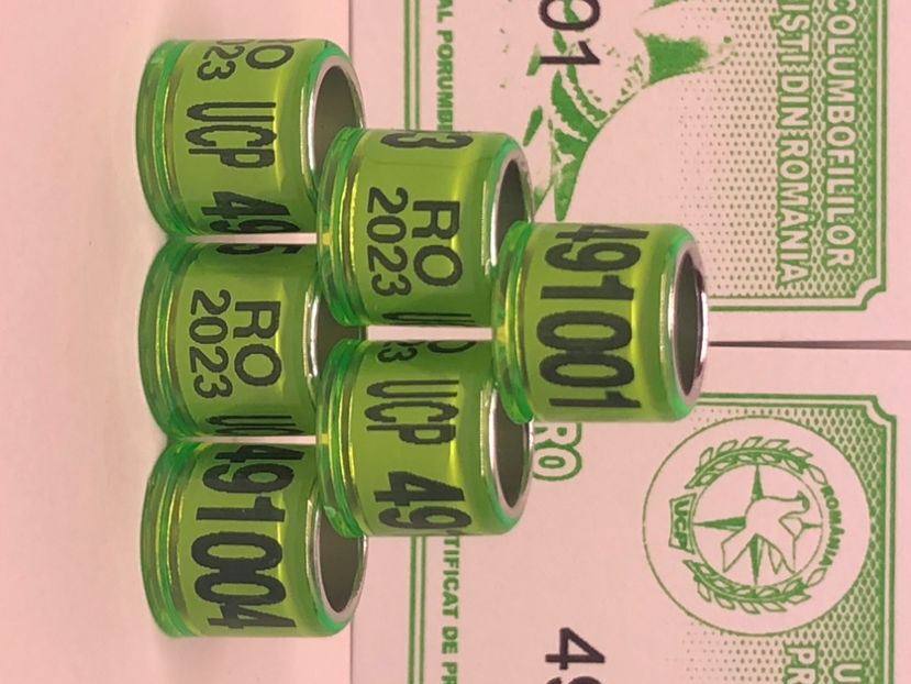 C955AA3E-AE18-4601-8688-6B53D0D0071F - 0 Noutăți 2023