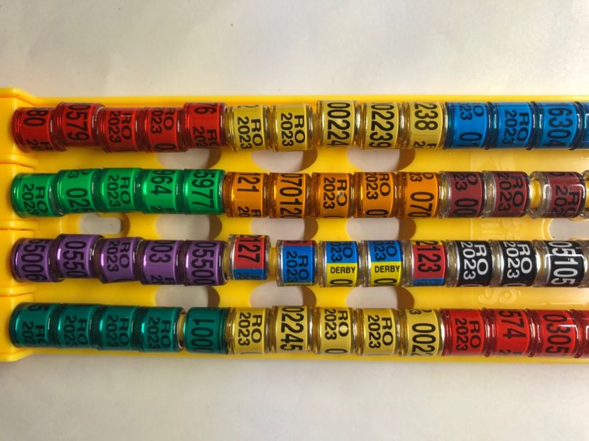 6C2B3031-9208-4C55-9A17-C6BE1935F57C - 0 Noutăți 2023