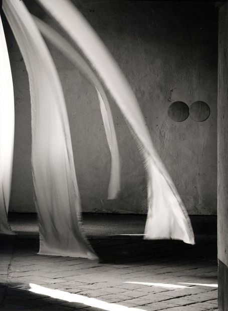  - Collection of Tintypes