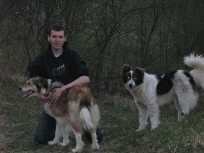 IMG-20230213-WA0042 - 5 - Câini de oi din comuna Rau Alb - Dambovita