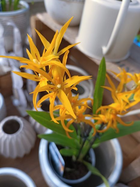 Img.2023.02.16 - Magazinul 2