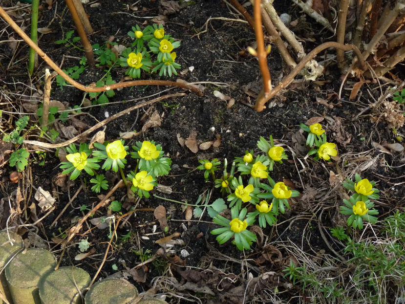  - 2022 - 04 - 2023 - 00 - Iarna