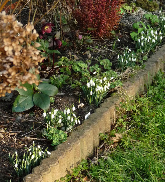  - 2022 - 04 - 2023 - 00 - Iarna