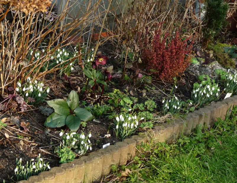  - 2022 - 04 - 2023 - 00 - Iarna