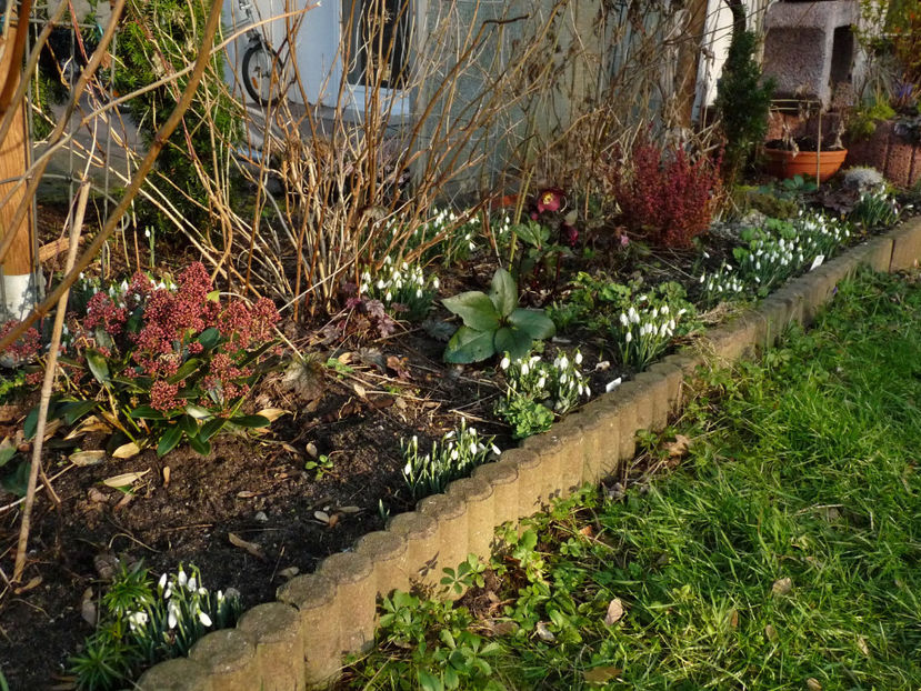  - 2022 - 04 - 2023 - 00 - Iarna