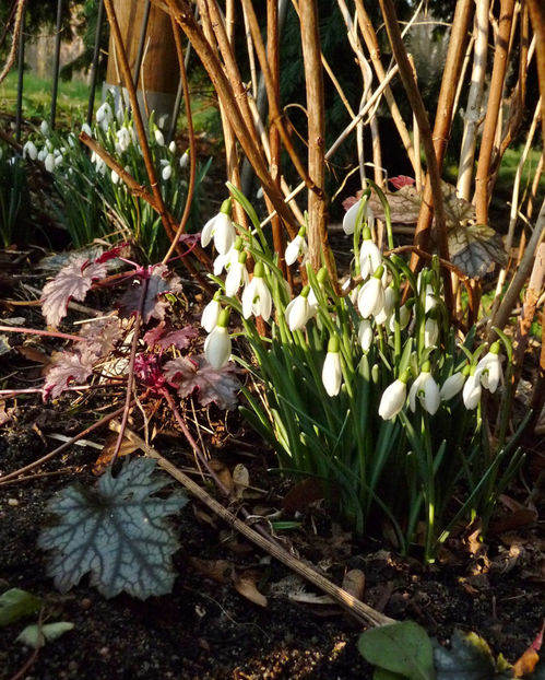  - 2022 - 04 - 2023 - 00 - Iarna