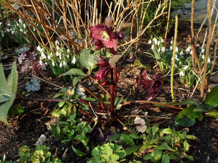  - 2022 - 04 - 2023 - 00 - Iarna