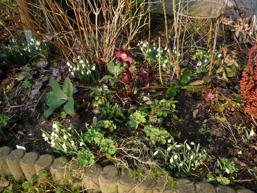  - 2022 - 04 - 2023 - 00 - Iarna