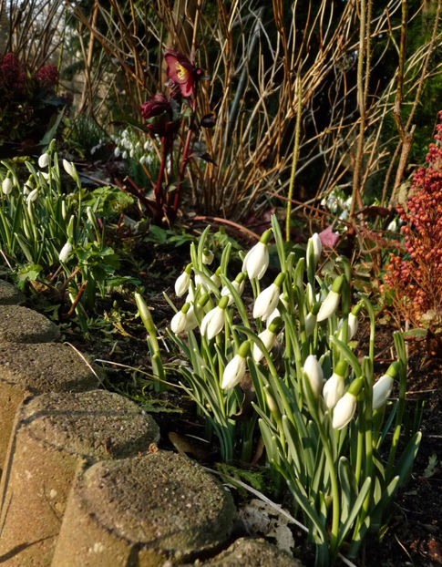  - 2022 - 04 - 2023 - 00 - Iarna