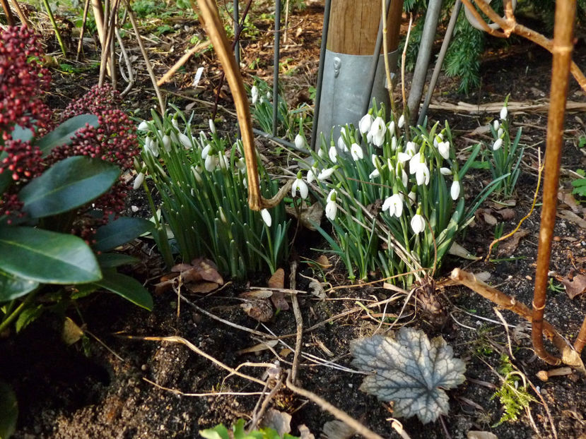  - 2022 - 04 - 2023 - 00 - Iarna