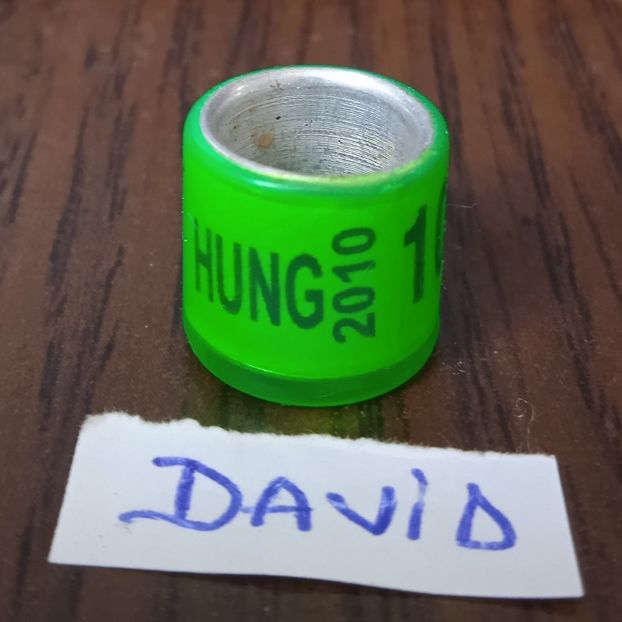 2010 -Ungaria - Ungaria