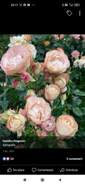 2023_01_31_22.17.52 - Acropolis