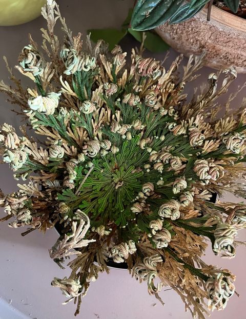 5B6ACF5B-E15E-4100-8B9E-659F5B6CAD5A - Ianuarie -Februarie 2023