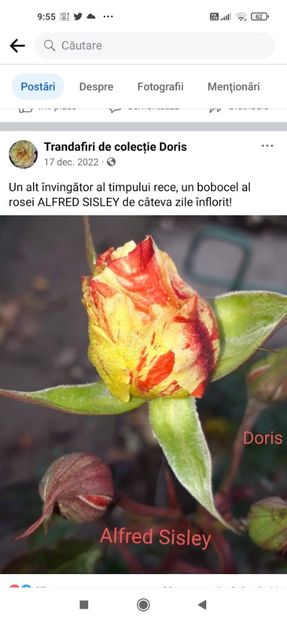 2023_01_07_09.55.43 - Alfred Sisley