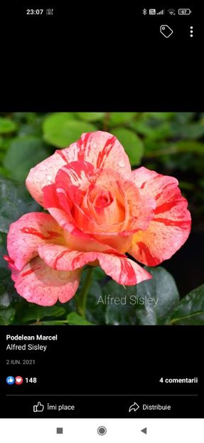 2023_01_31_23.07.08 - Alfred Sisley