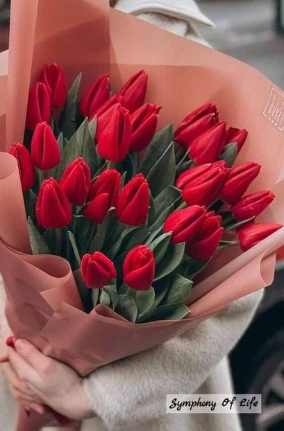 E singurul cuvant pe care l-a putut pronunta. Si atunci Katiey ii pica fisa: Isay era cu el. - Capitolul32 - Cu pretul vietii