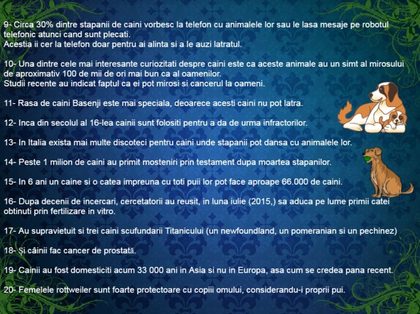 20 de curiozitati despre câini pe care nu le știai - Curiozități