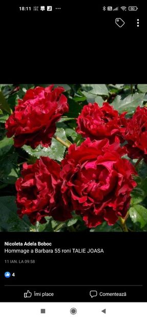 2023_02_05_18.11.25 - Hommage a Barbara