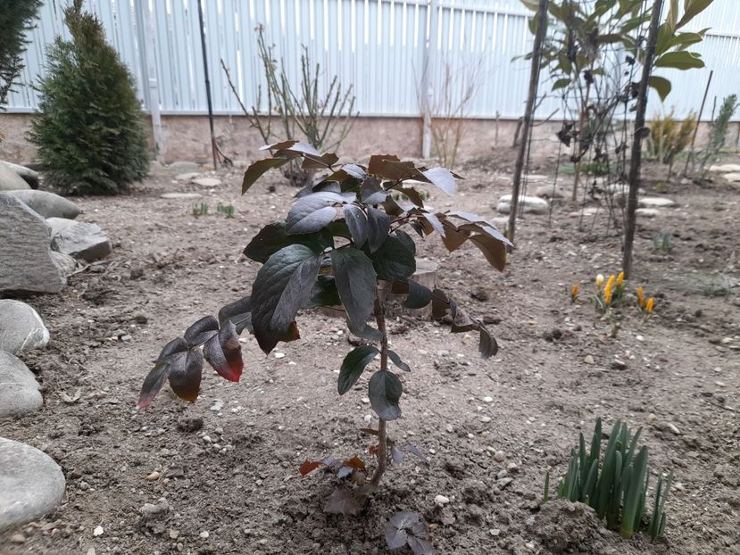  - 1 Bucurii nemuritoare 2023