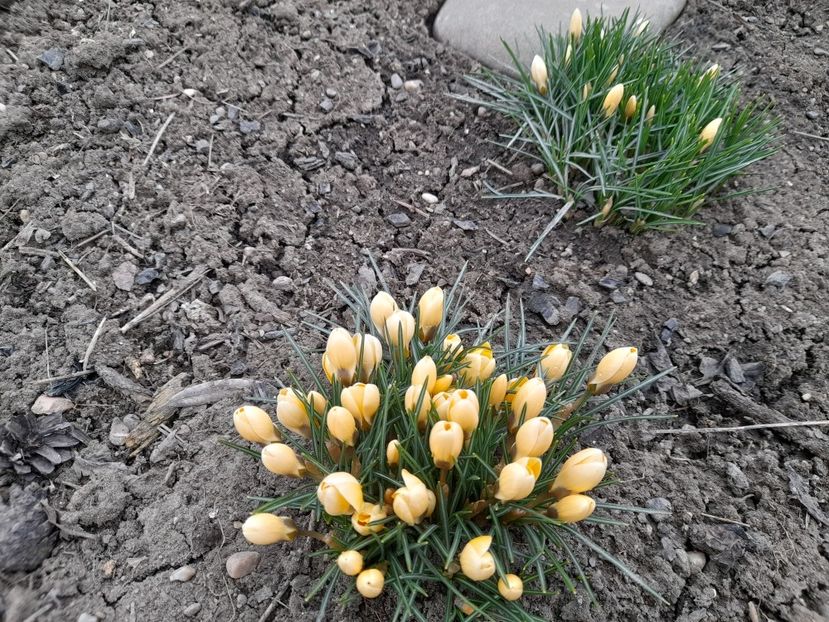  - 1 Bucurii nemuritoare 2023