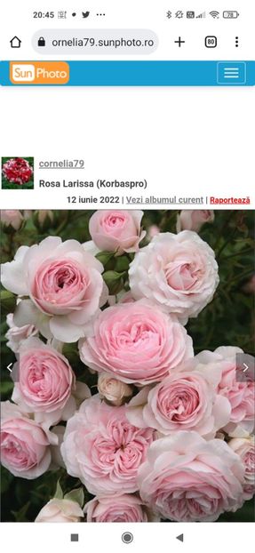 2023_02_01_20.45.46 - Larisaa