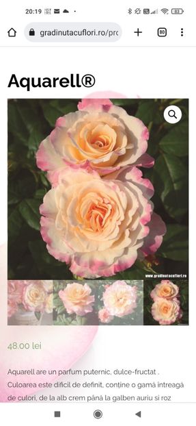 2023_02_01_20.19.15 - Aquarell