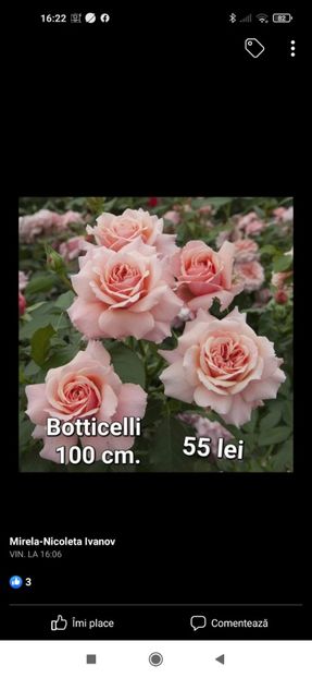 2023_02_11_16.22.21 - Botticelli