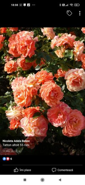 2023_02_05_18.08.36 - Tatton