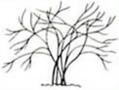 arching - Hansestadt Rostock