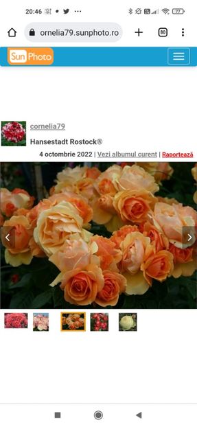 2023_02_01_20.46.34 - Hansestadt Rostock