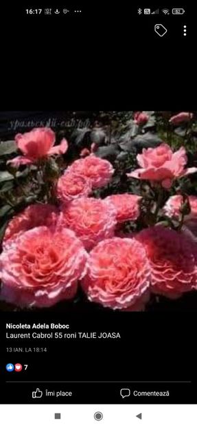 2023_02_05_16.17.15 - Laurent Cabrol