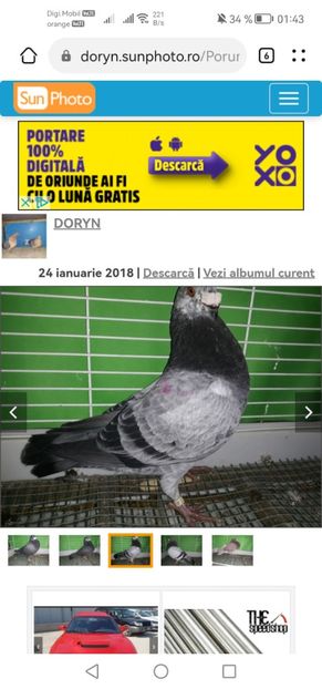 Screenshot_20230221_014339_com.huawei.browser - A PORUMBEI GUSATI SPANIOLI