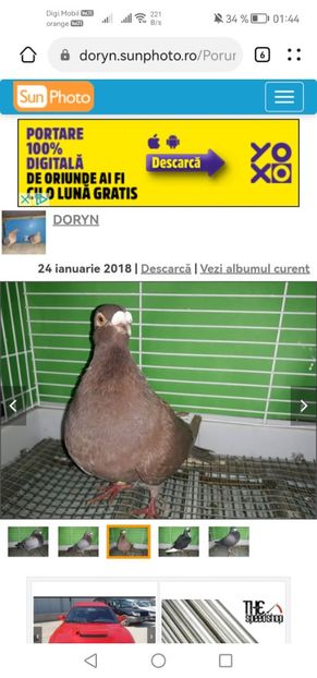 Screenshot_20230221_014412_com.huawei.browser - A PORUMBEI GUSATI SPANIOLI