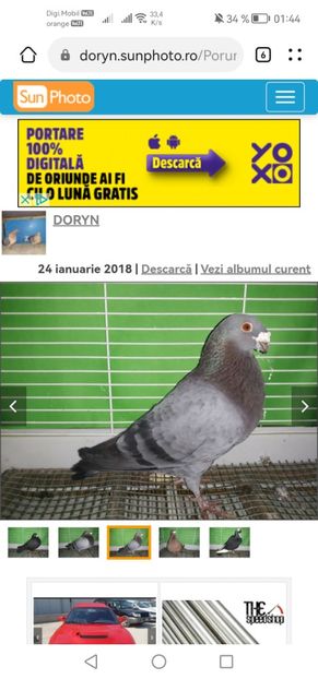 Screenshot_20230221_014420_com.huawei.browser - A PORUMBEI GUSATI SPANIOLI