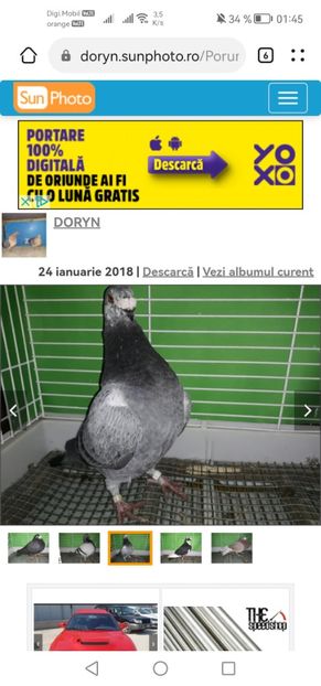 Screenshot_20230221_014522_com.huawei.browser - A PORUMBEI GUSATI SPANIOLI