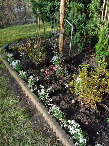  - 2022 - 04 - 2023 - 00 - Iarna