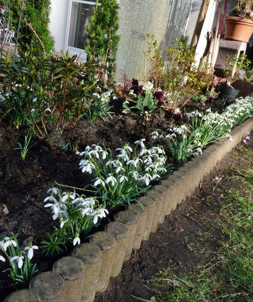  - 2022 - 04 - 2023 - 00 - Iarna