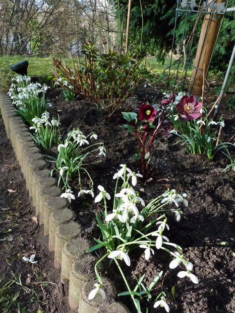  - 2022 - 04 - 2023 - 00 - Iarna