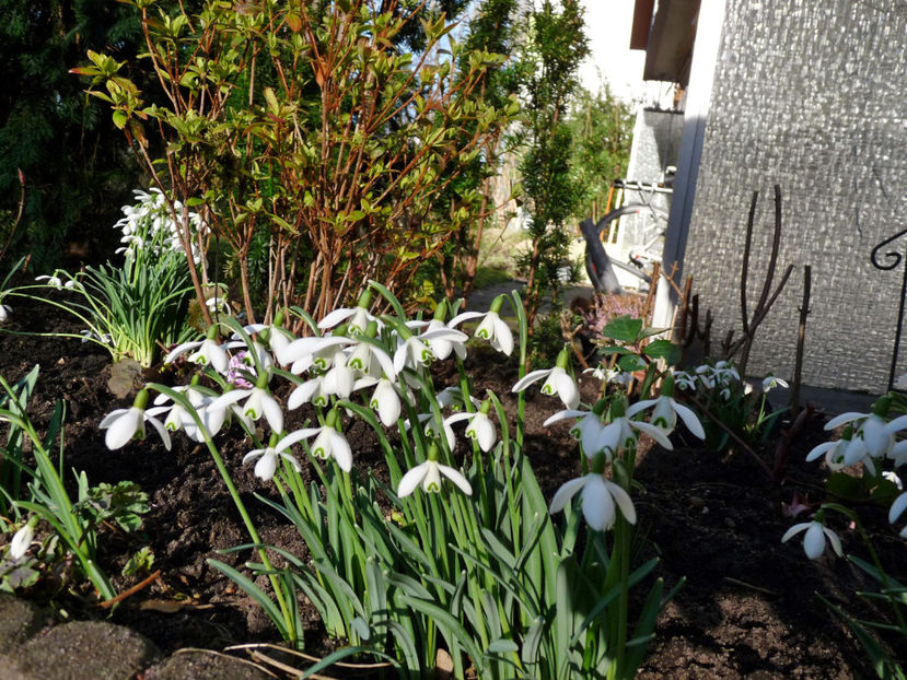  - 2022 - 04 - 2023 - 00 - Iarna