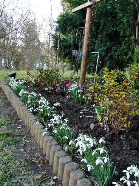  - 2022 - 04 - 2023 - 00 - Iarna