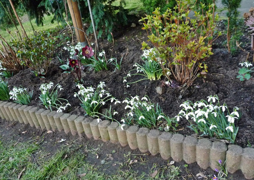  - 2022 - 04 - 2023 - 00 - Iarna