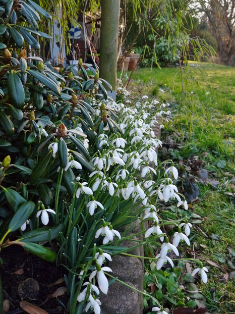  - 2022 - 04 - 2023 - 00 - Iarna