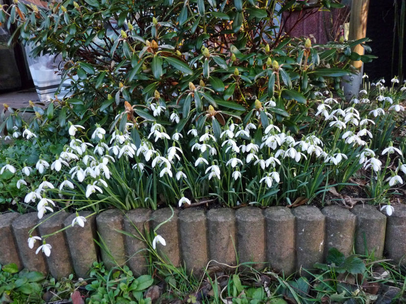  - 2022 - 04 - 2023 - 00 - Iarna