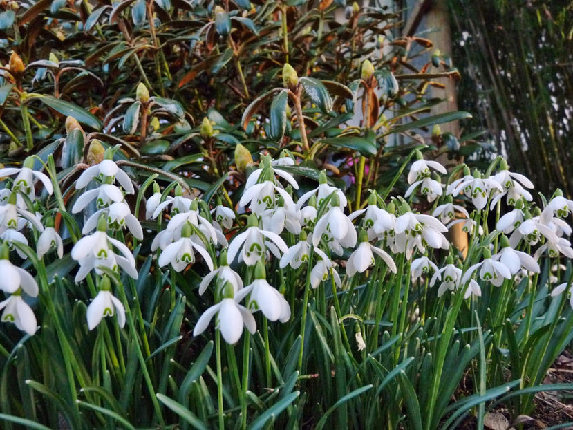  - 2022 - 04 - 2023 - 00 - Iarna